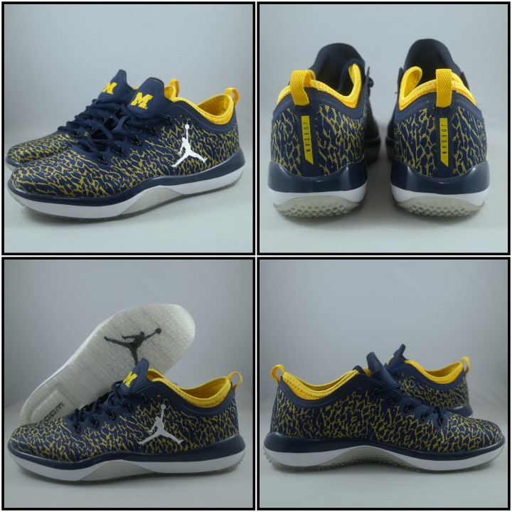 sepatu air jordan low