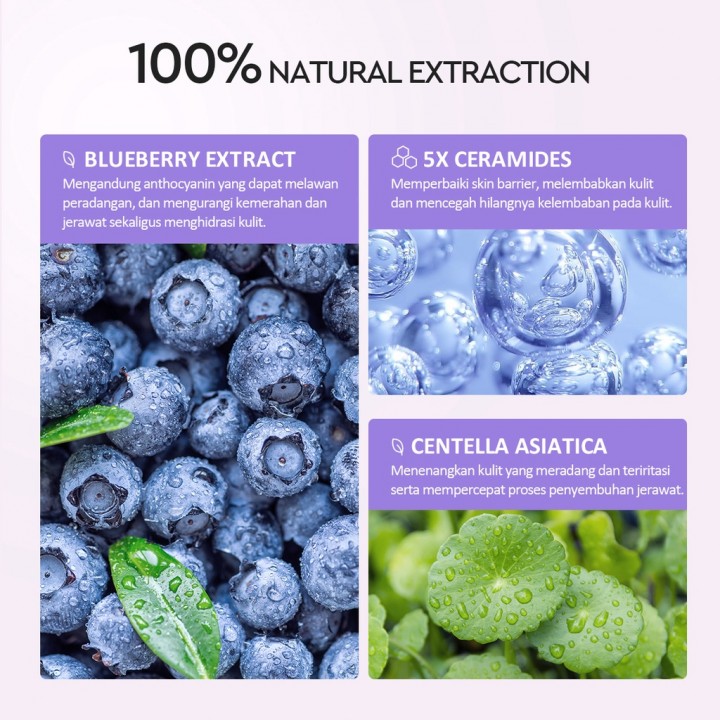 Moori Beauty Glad2Glow Blueberry 5 Ceramide Barrier Moisturizer