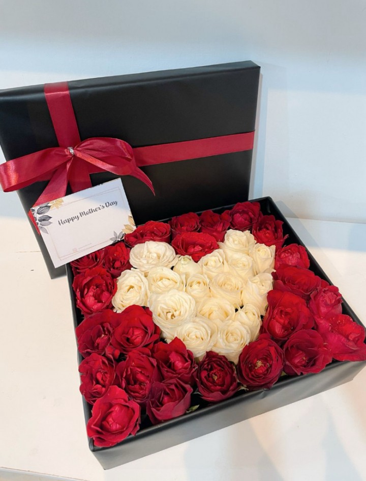 Grisella box rose