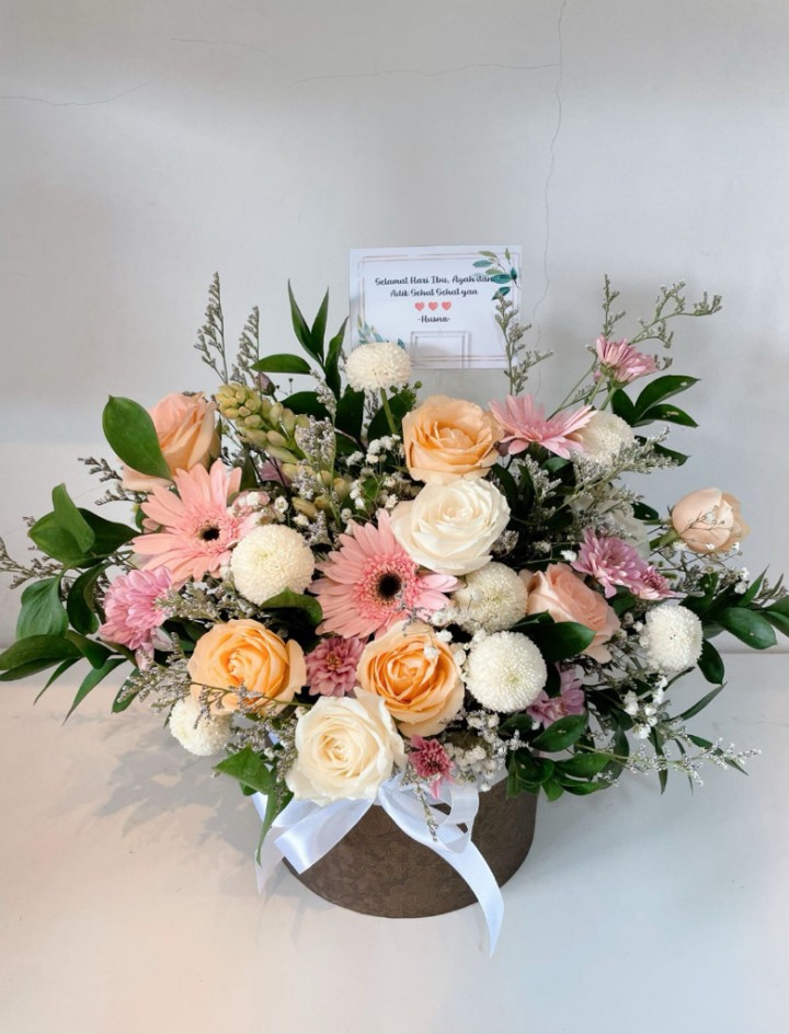 Blooms excela premium