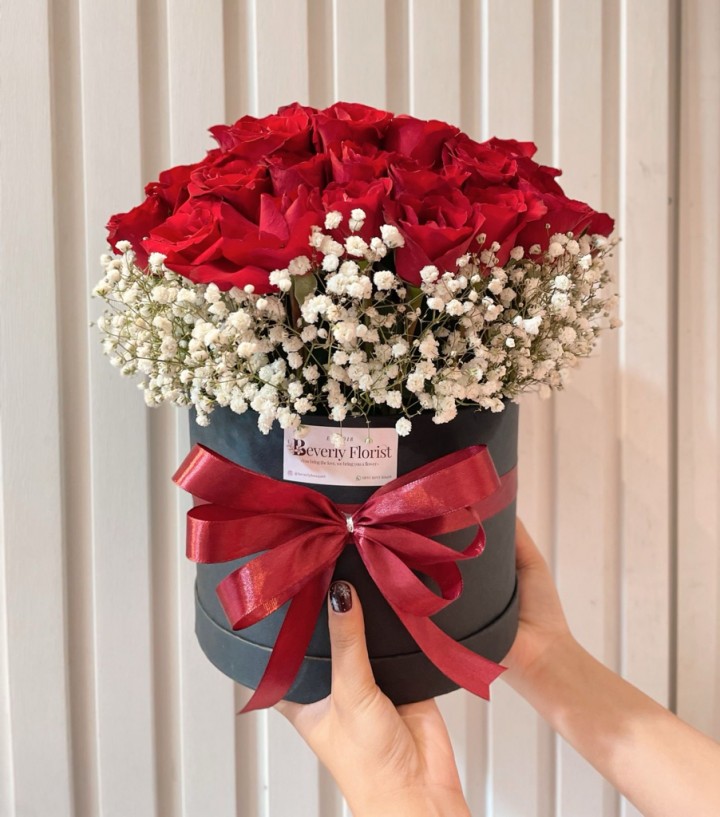 Blooms of rose luxury