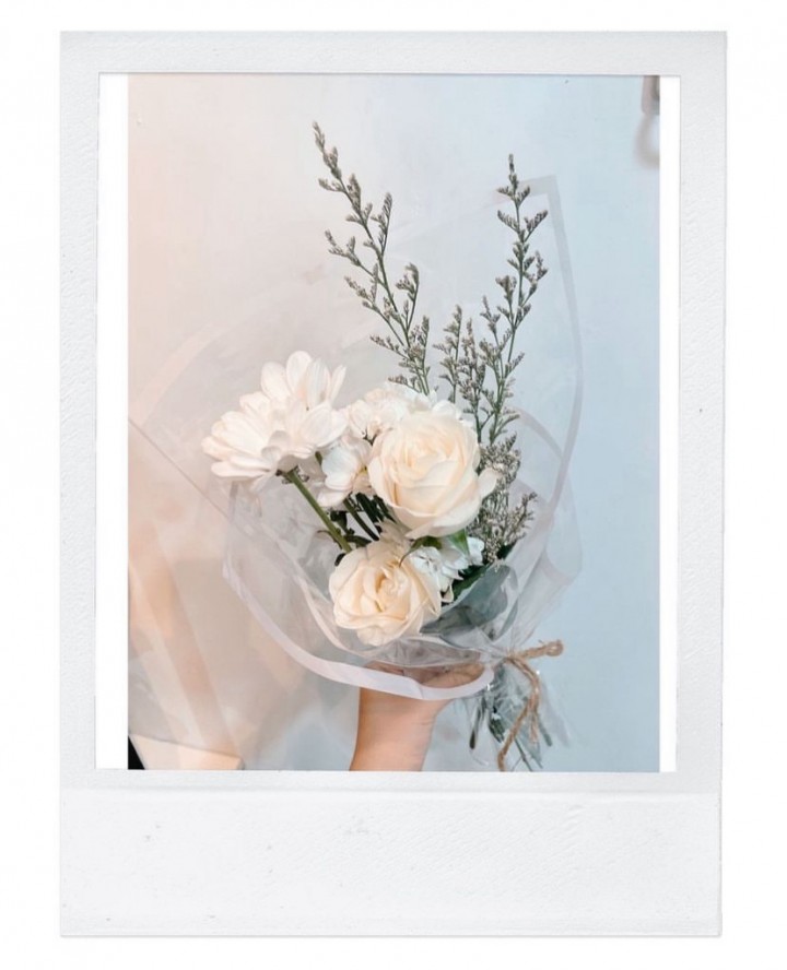 A simple white rose