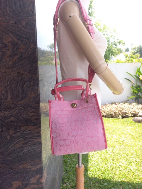 coach bape tote 22