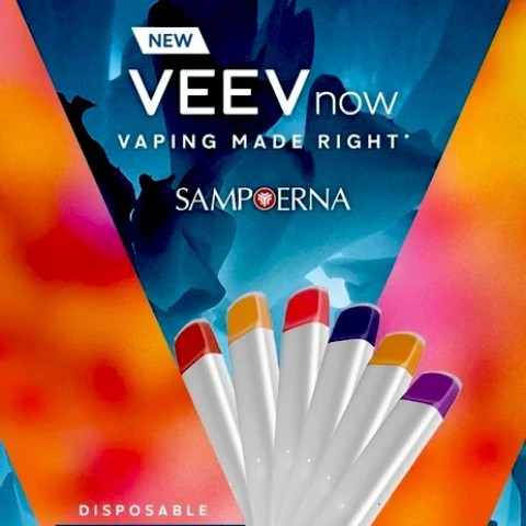 VEEV NOW DISPOSABLE 500PUFF