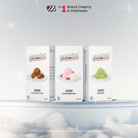 CREAMINAL ICE CREAM SERIES SALTNIC 15ML 30MG BY WISEJUICE